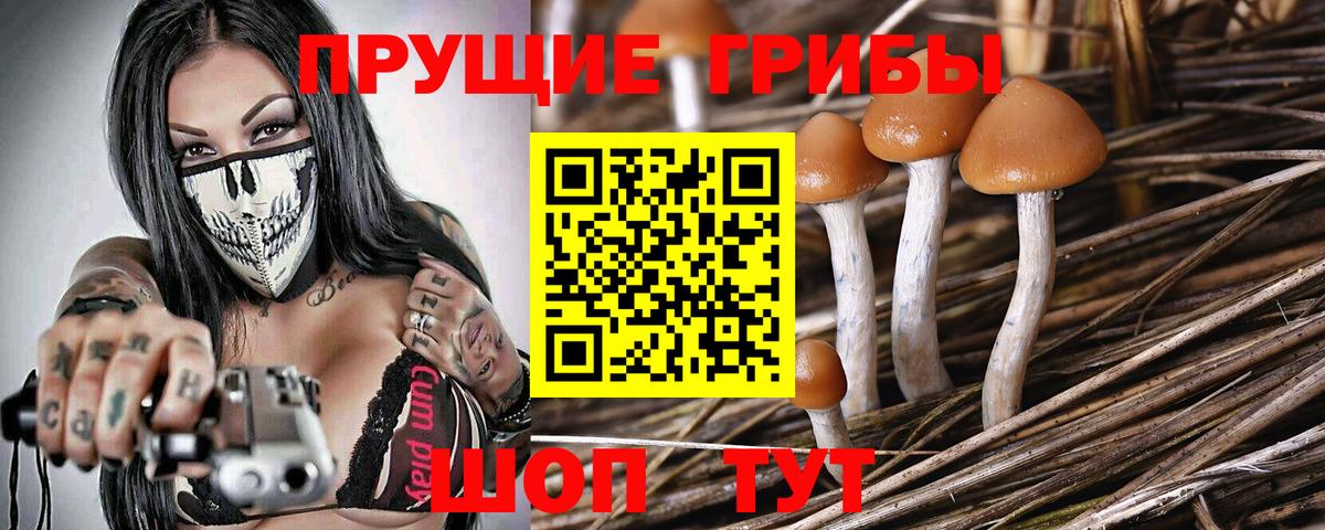 Галлюциногенные грибы ЛСД Элиста